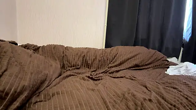 AlateStick webcam