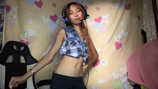 PiaSwida webcam