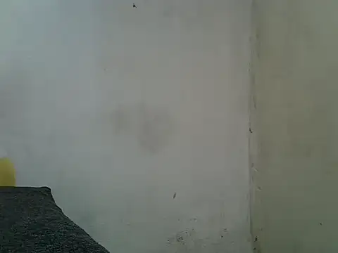 Blossoms672 webcam