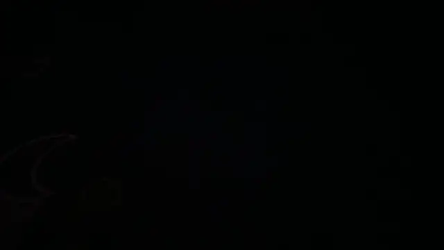 icebergslim281 webcam