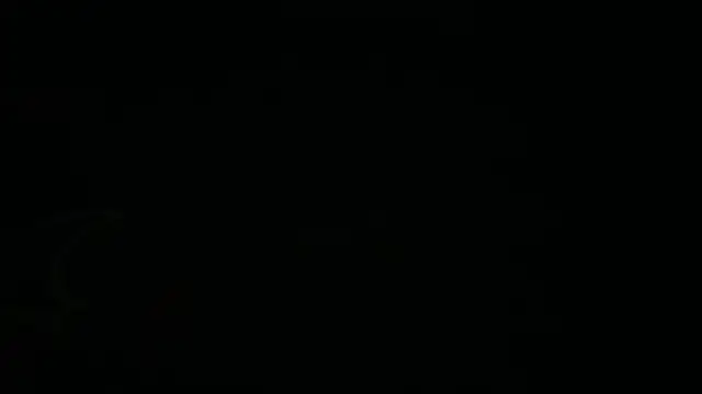 icebergslim281 webcam