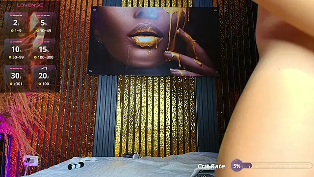 perfectmatch_ webcam