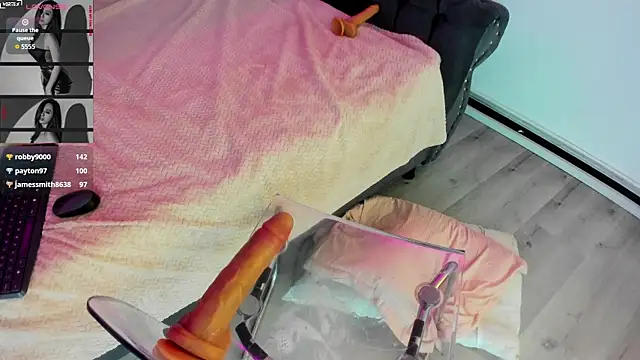 Abbyy_stone webcam