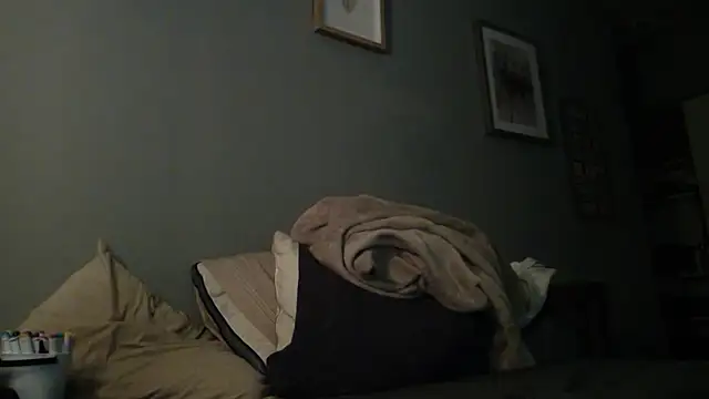Nikiss333 webcam