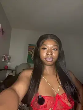 TinyBlazian901 webcam