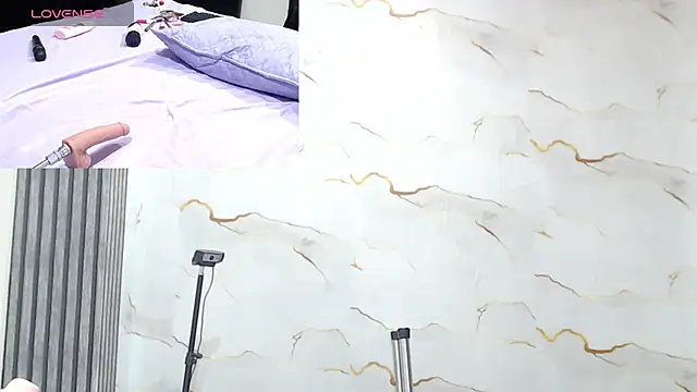 Liaa_cams