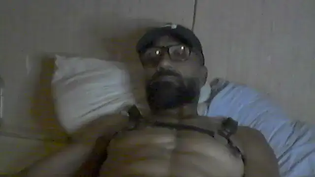 pigDany webcam