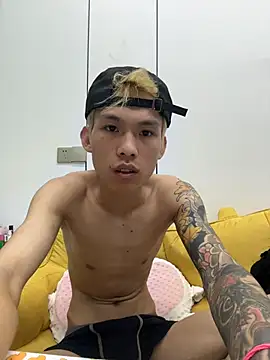 KPL-11 webcam