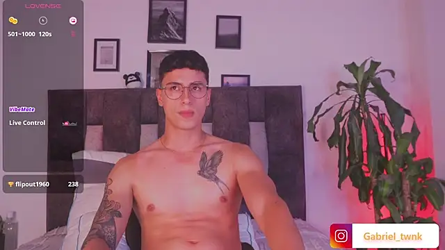 I_Gabriel webcam