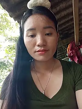Td3di webcam