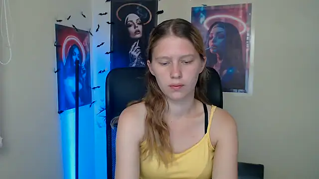 StellaCRL webcam