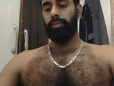 indianhairybull webcam