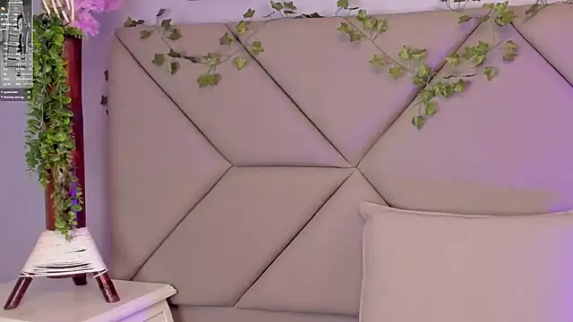 StellarKitty_ webcam