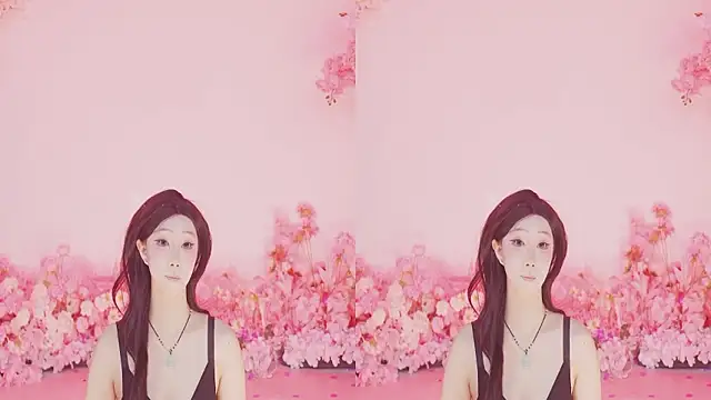 SSF-888 webcam