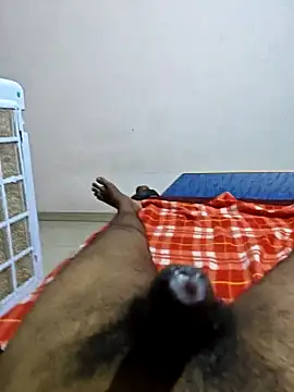 modelSpidy live cam on StripChat