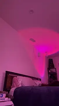 alldogsgotoheaven webcam