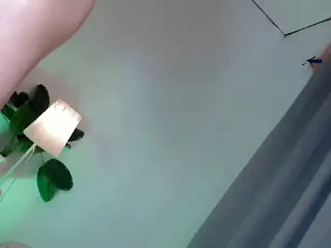 Tasty_trap1 webcam