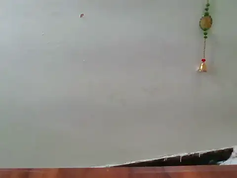 Anju_Kau_rkp webcam