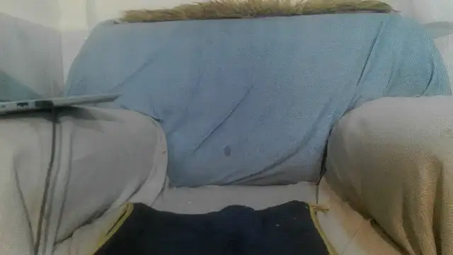Katzune webcam