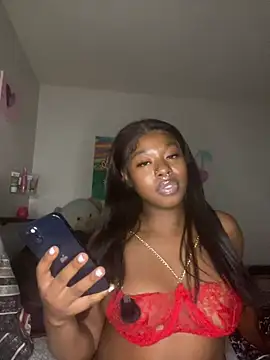 TinyBlazian901 webcam