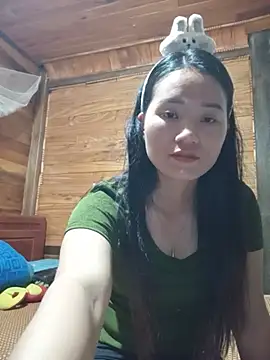 Td3di webcam