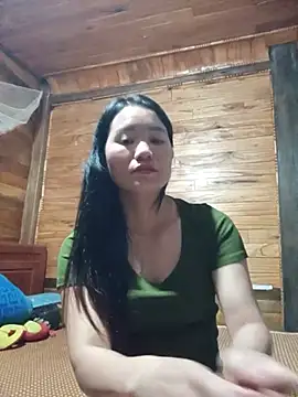 Td3di webcam