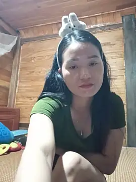 Td3di webcam