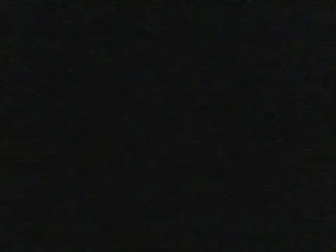 shugabaibe live cam on StripChat