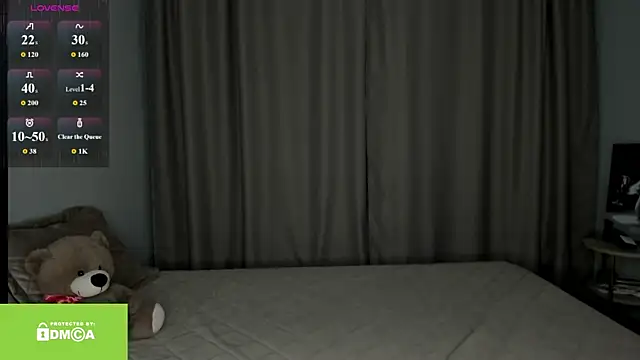 Vanaldienn webcam