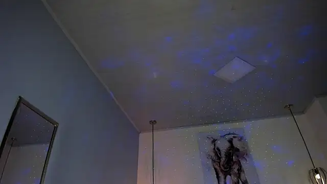 ayshel__ webcam