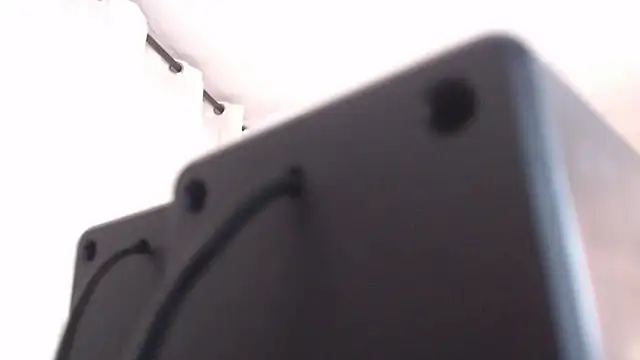 Dani-brown webcam