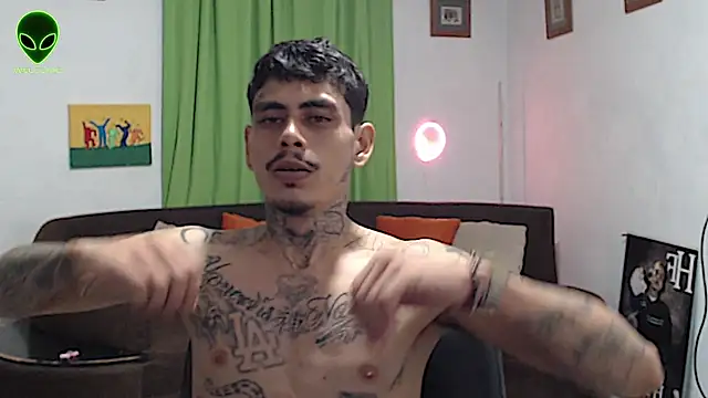 alpha_zom webcam