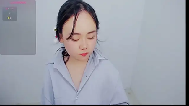 P999933 webcam