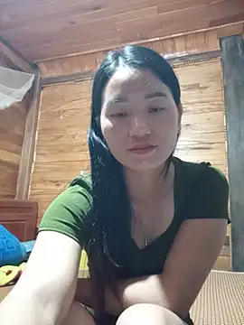 Td3di webcam