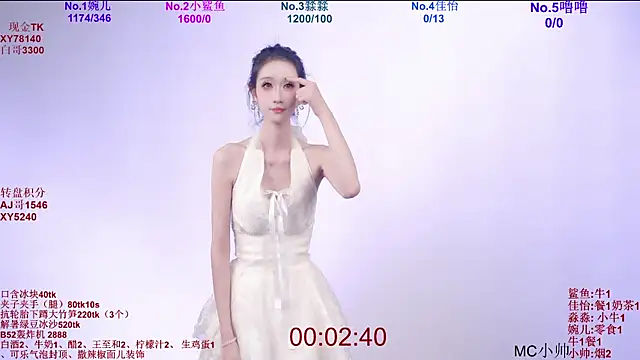 STY_0089 webcam