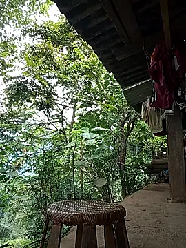 Td3di webcam