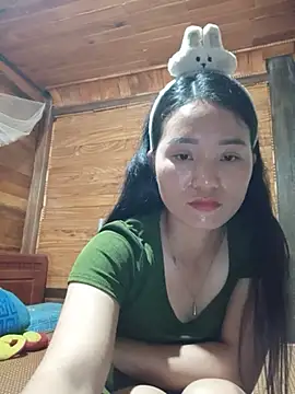 Td3di webcam