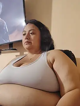 AvaRyd webcam
