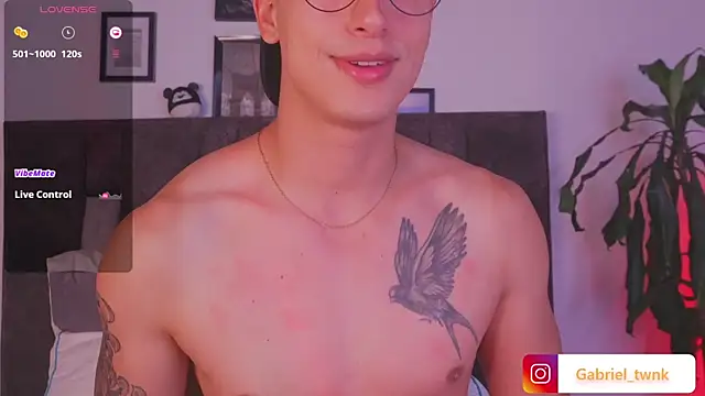 I_Gabriel webcam