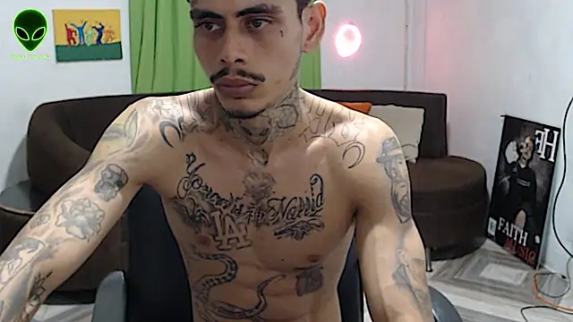 alpha_zom webcam