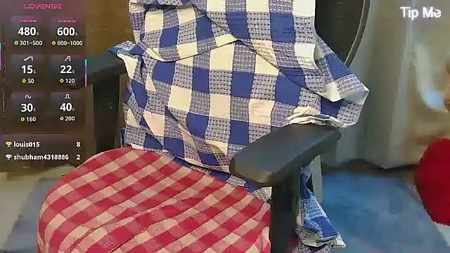 punemodel