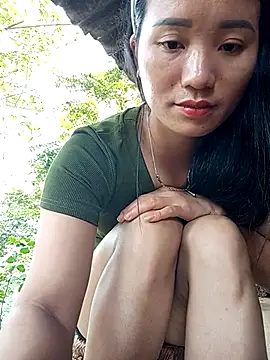 Td3di webcam