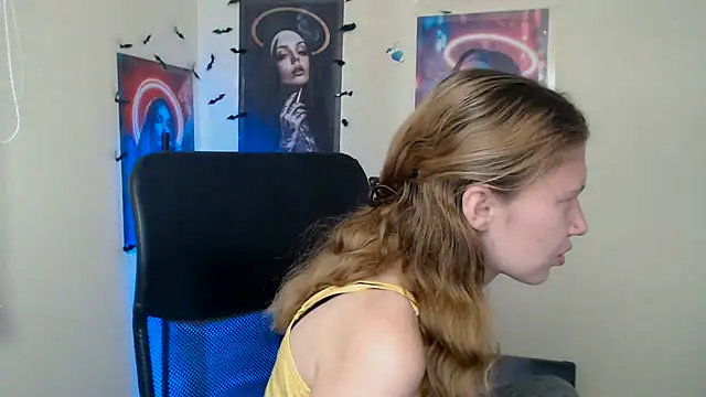StellaCRL webcam