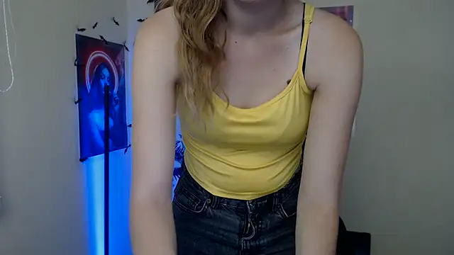StellaCRL webcam