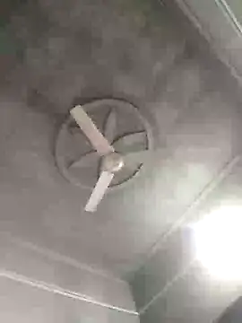 Loomaraj webcam