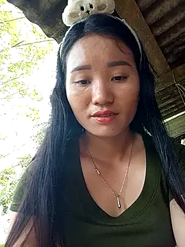 Td3di webcam