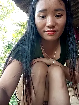 Td3di webcam