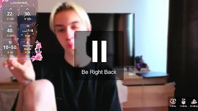 skibatryanka webcam