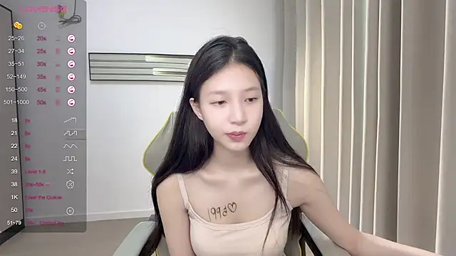 yy-1314 webcam