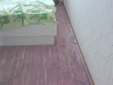 svvs27 webcam